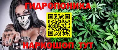 амф Анапа