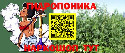 амф Анапа